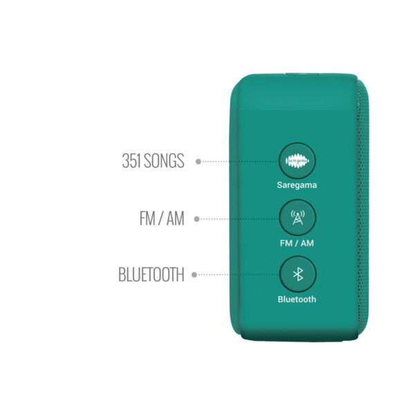 Carvaan Mini POP Colour Hindi - Forest Green - Image 6