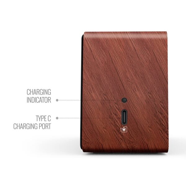 Carvaan Mini Plus Hindi - Vintage Brown - Image 4