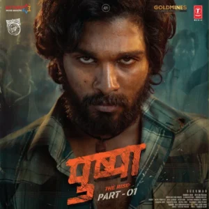 Pushpa, Devi Sri Prasad,Raqueeb Alam, Vinyl Record, Lp