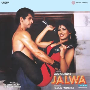 Jalwa-Anand-Milind, Remo Fernandes,Vinyl Record, Lp
