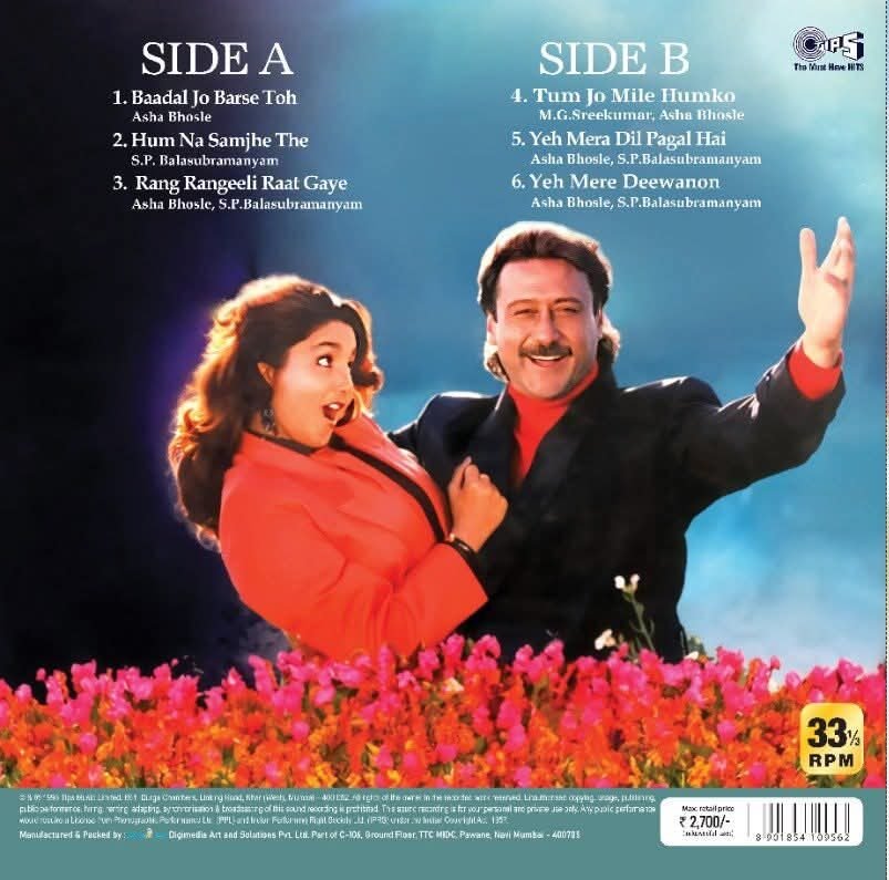 Gardish, Vinyl Record, Lp , Colour Vinyl - Image 2