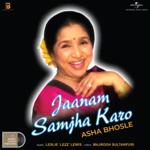 Jaanam Samjha Karo Vinyl Record
